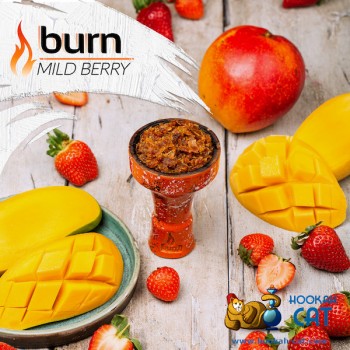 Заказать кальянный табак Burn Mild Berry (Берн Земляника Манго) 25г онлайн с доставкой всей России - фото 1 Заказать кальянный табак Burn Mild Berry (Берн Земляника Манго) 25г онлайн с доставкой всей России - фото 1